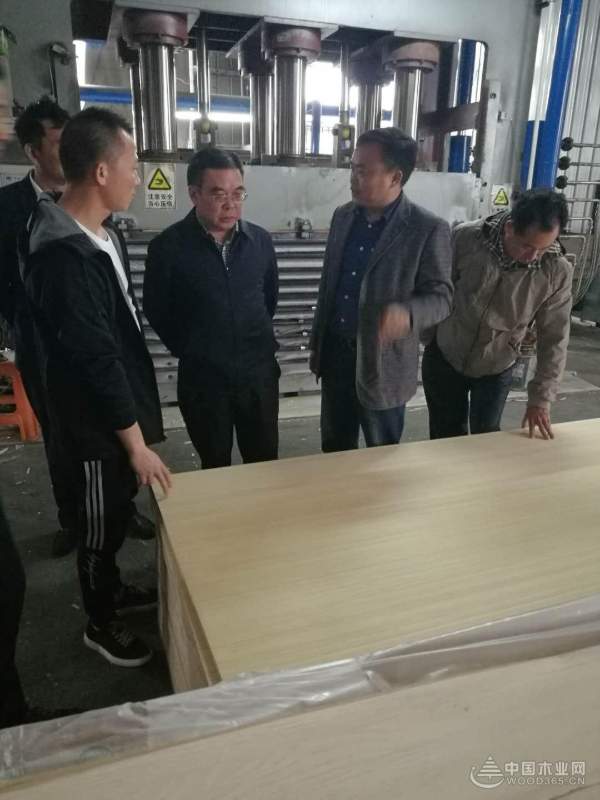 实力凸显 鹏森缘迎多位领导莅临考察