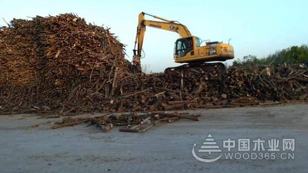 科林发布原木纯净板气味等级提升综合解决方案及战略合作加盟邀请