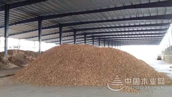 科林发布原木纯净板气味等级提升综合解决方案及战略合作加盟邀请