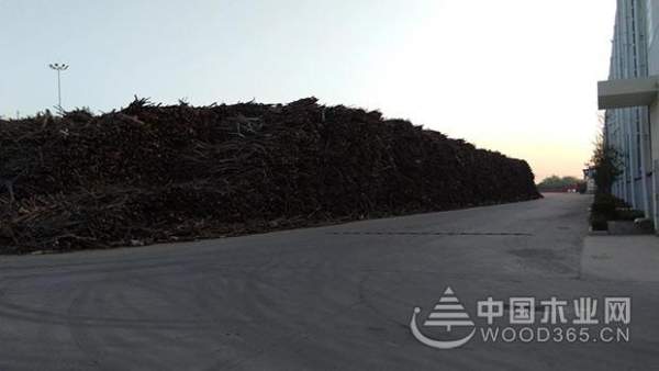 科林发布原木纯净板气味等级提升综合解决方案及战略合作加盟邀请