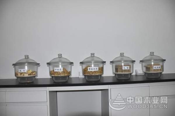 科林发布原木纯净板气味等级提升综合解决方案及战略合作加盟邀请