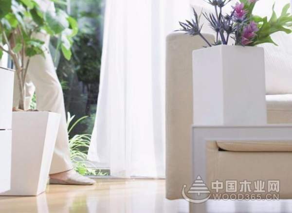 定制是时代所趋，顺应时代，兔宝宝易装走起~