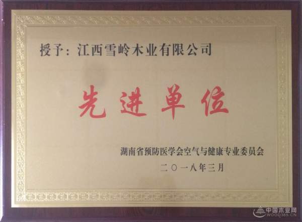 实力所致 江西雪岭木业荣获“先进单位”称号