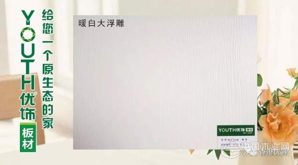 YOUTH优饰--生态板
