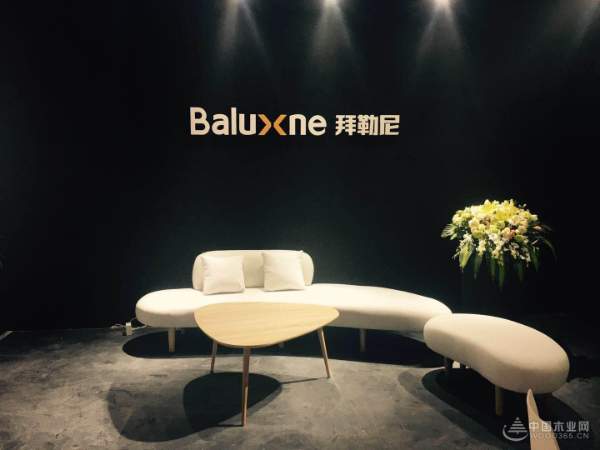 用板材诠释空间美学，拜勒尼闪亮登场第17届中国国际门展！