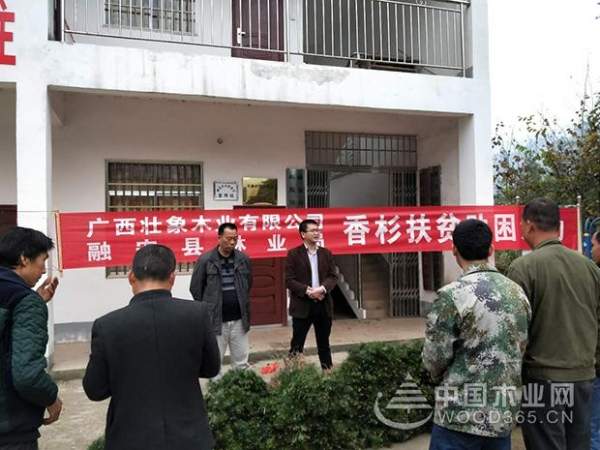 壮象捐苗造林  香杉助民脱贫