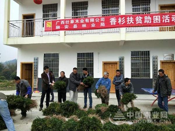 壮象捐苗造林  香杉助民脱贫