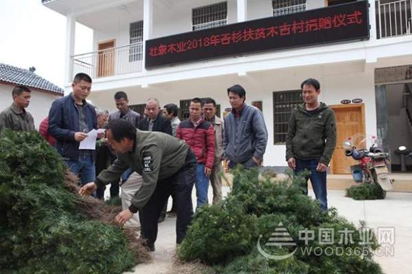 壮象捐苗造林  香杉助民脱贫