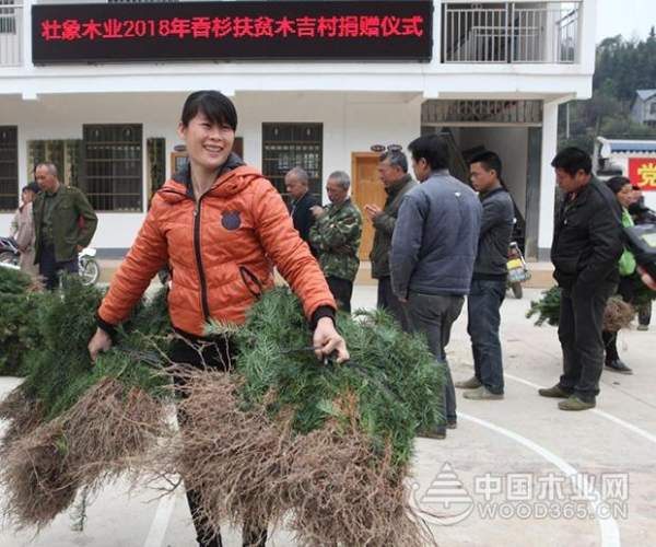 壮象捐苗造林  香杉助民脱贫