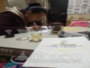 健康兔板材：你想走到哪，我们陪你走到哪