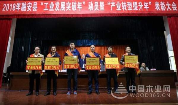 壮象获融安县县政府表彰
