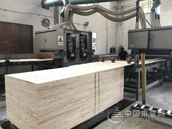 金犬临门 2018牛莱旺与您携手共行