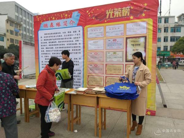 龙飞凤舞迎新春，鹏森缘携手柳城县总工会送春联！