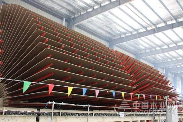 热烈祝贺科林年产30万方实木纯净板首板成功下线