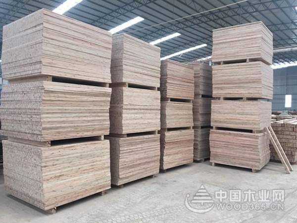 新年新起点 广西象州满弋木业不忘初心聚力前行