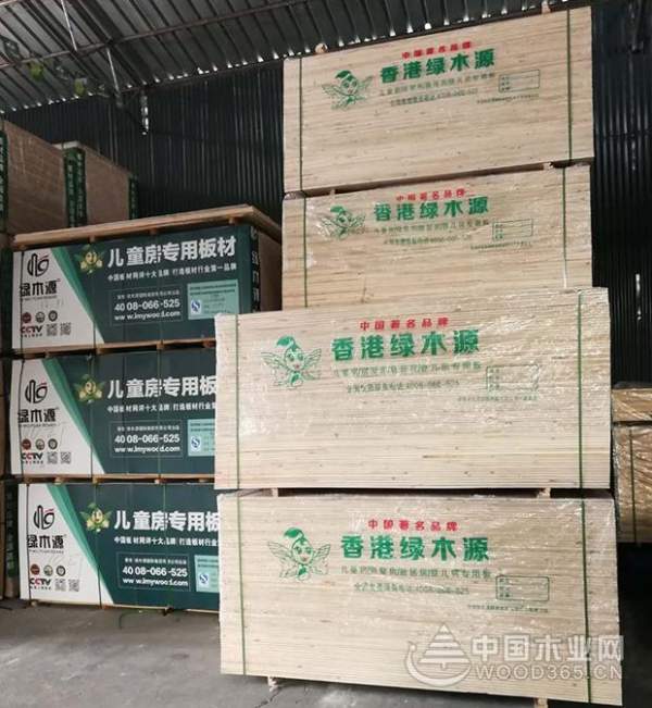 湖州南浔绿木源荣获“优秀经销商”称号