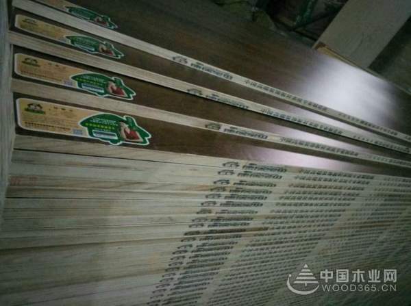 有家就有康居宝贝 泰安旗舰店即将盛大开业!