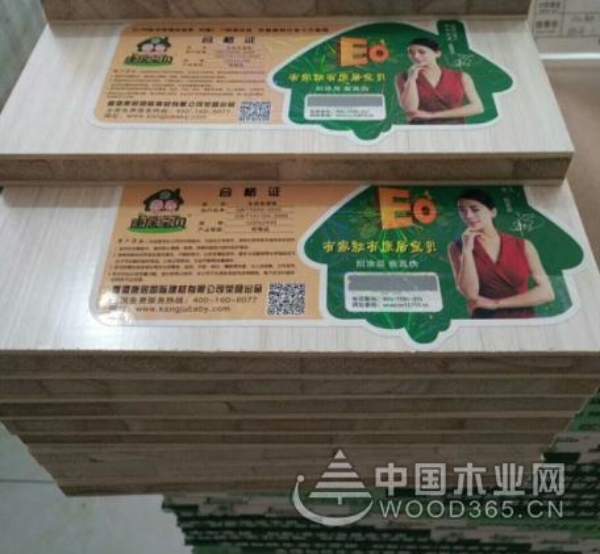 有家就有康居宝贝 泰安旗舰店即将盛大开业!