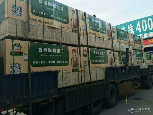 有家就有康居宝贝 泰安旗舰店即将盛大开业!