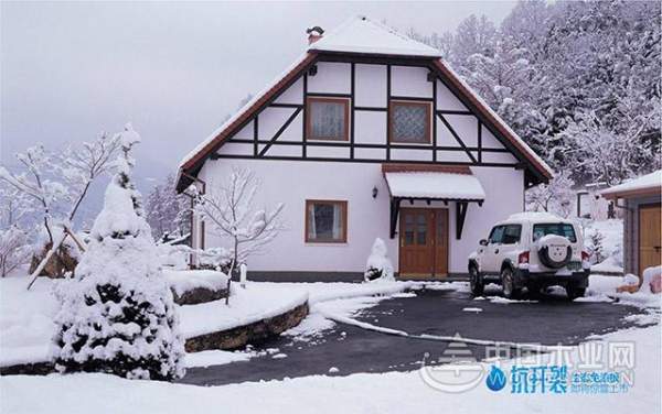 针对北方极端天气 大王椰板材2018新品抗开裂免漆板即将震撼登场