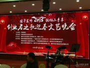 再获殊荣 鹏森缘迪森人造板公司获柳州优秀创业企业荣誉