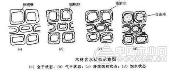 正立：木材干燥过程开裂？这几种应对措施必须知道
