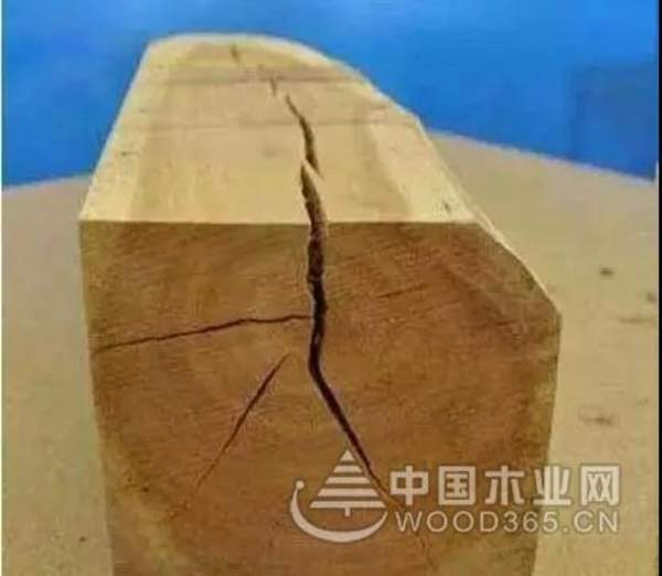 正立：木材干燥过程开裂？这几种应对措施必须知道
