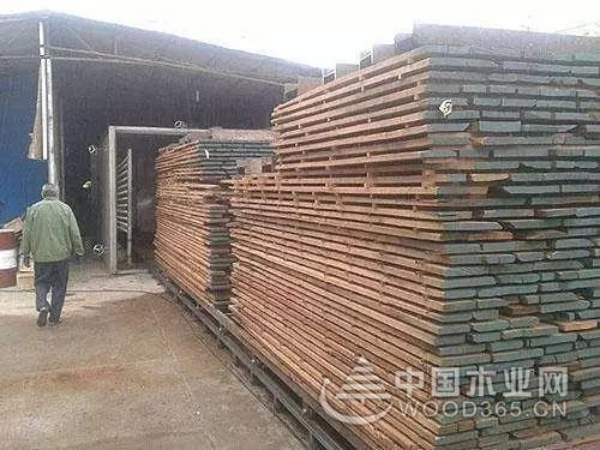 正立：木材干燥过程开裂？这几种应对措施必须知道