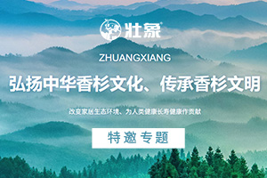壮象板材